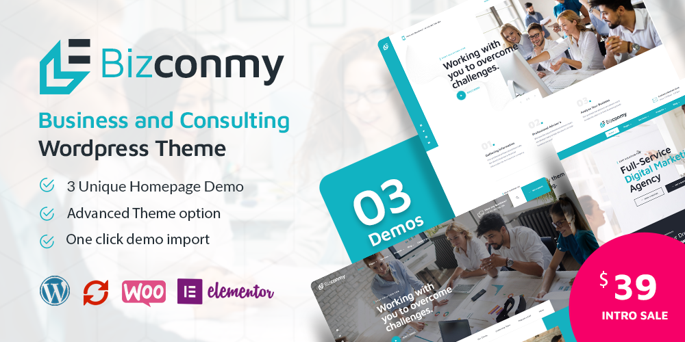 Bizconmy – Business and Consulting WordPress Theme