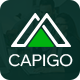 Thumbnail for Capigo – Business Marketing WordPress Theme